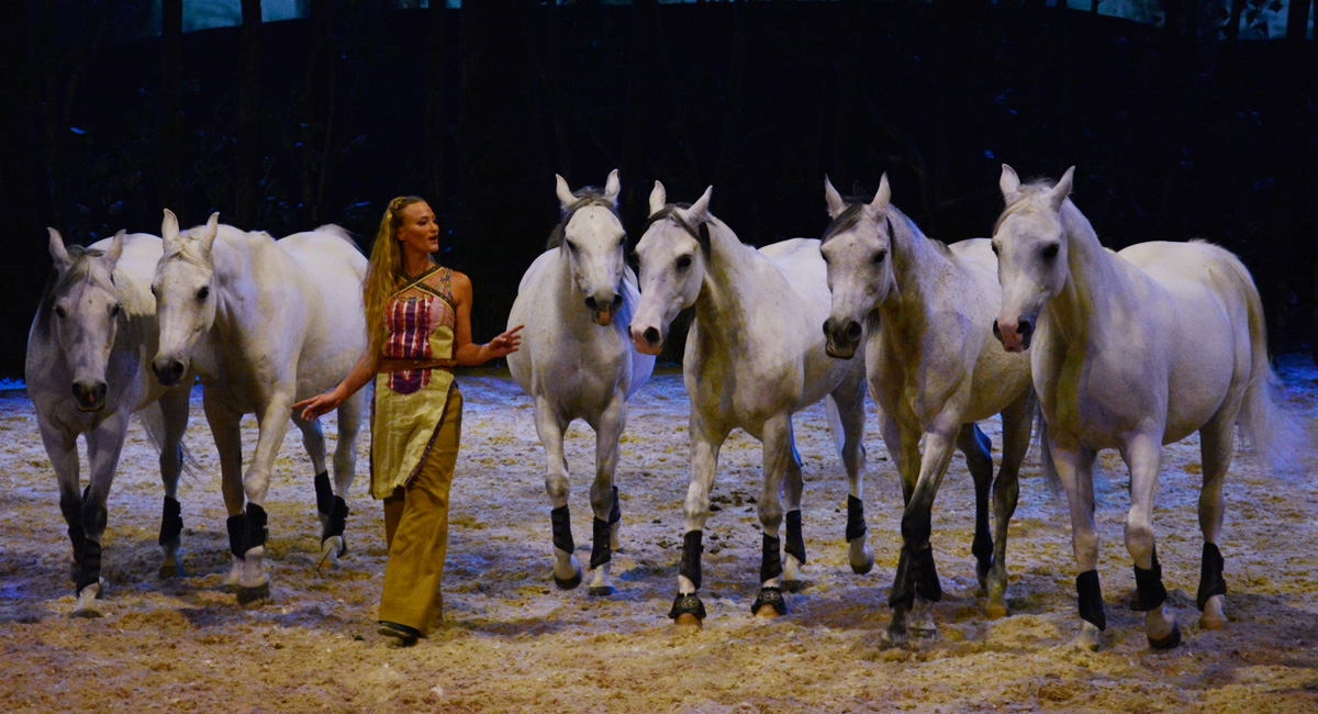 Comienza la temporada de Odysseo por Cavalia en México